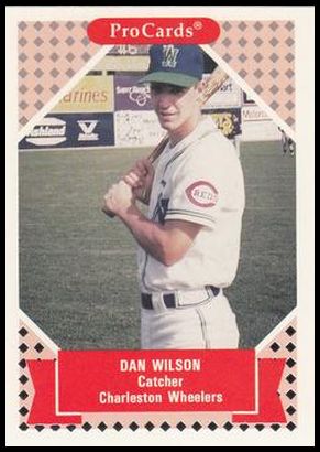 217 Dan Wilson